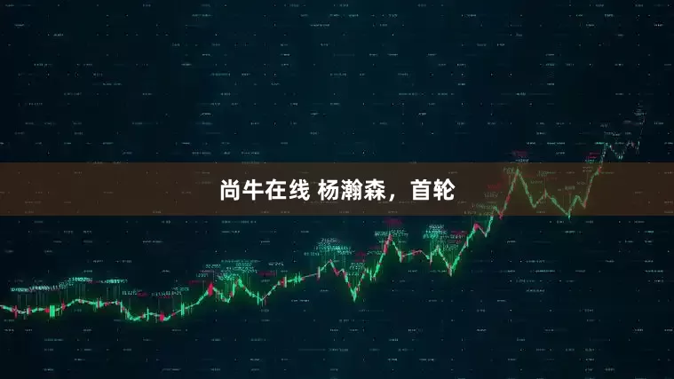 尚牛在线 杨瀚森，首轮