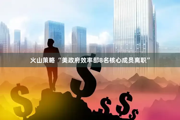 火山策略 “美政府效率部8名核心成员离职”