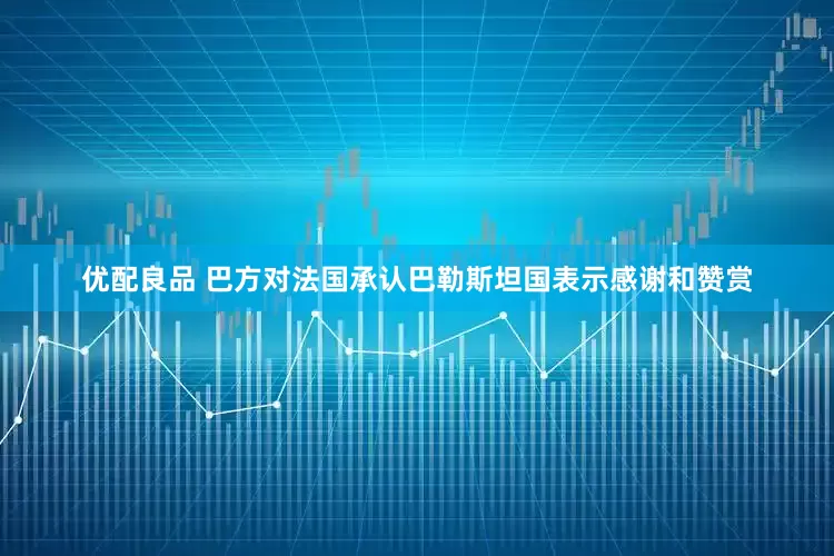 优配良品 巴方对法国承认巴勒斯坦国表示感谢和赞赏