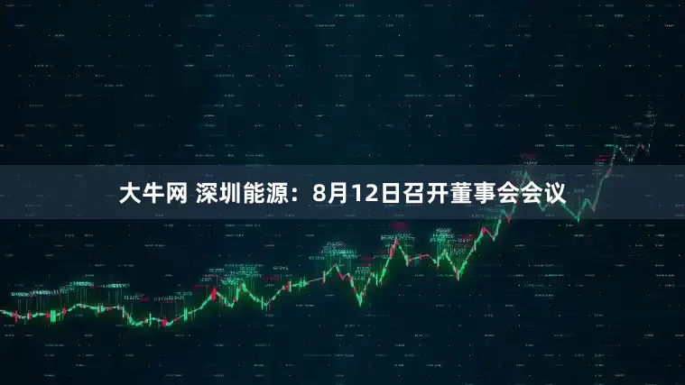 大牛网 深圳能源：8月12日召开董事会会议