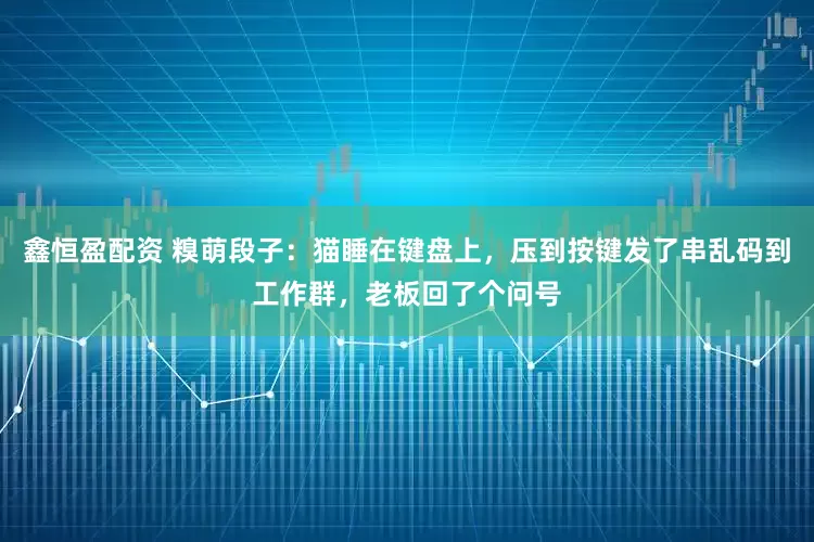 鑫恒盈配资 糗萌段子：猫睡在键盘上，压到按键发了串乱码到工作群，老板回了个问号