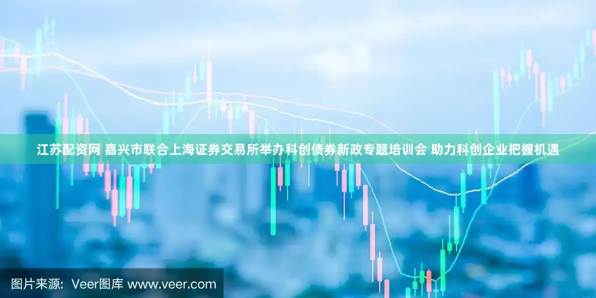 江苏配资网 嘉兴市联合上海证券交易所举办科创债券新政专题培训会 助力科创企业把握机遇